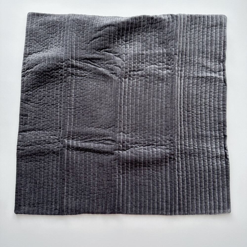 Restoration Hardware Tate Velvet Channel Euro Sham